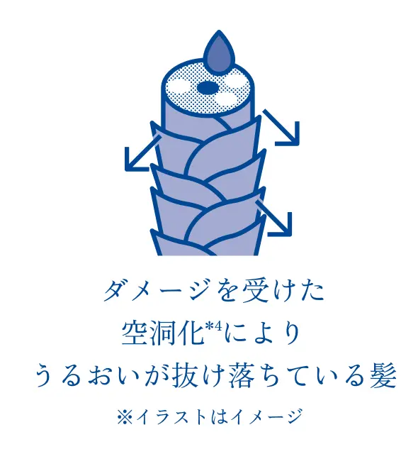 ダメージを受けた空洞化によりうるおいが抜け落ちている髪のイメージ図